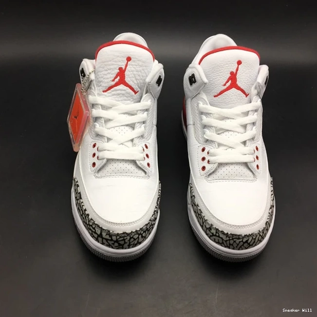 Jordan3 Retro of Fame 783 Hall AllSeason 136064-116 0610